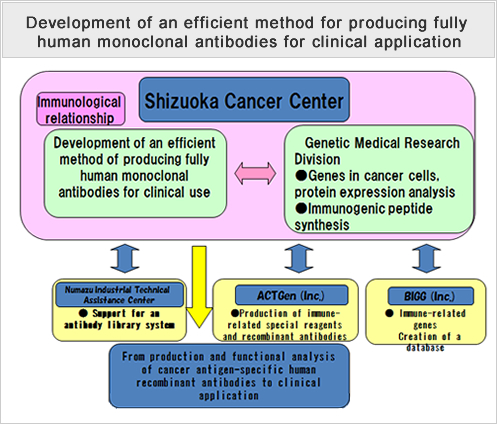 Development of an efficient method for producing fully human monoclonal antibodies for clinical application