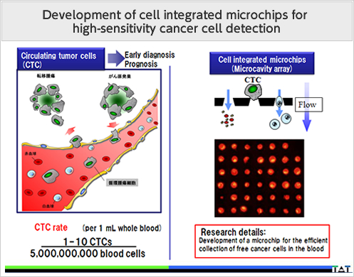 Development of cell integrated microchips for high-sensitivity cancer cell detection