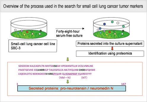 Overview of the process used in the search for small cell lung cancer tumor markers