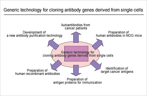 Areas of application of the single-cell antibody gene cloning technology