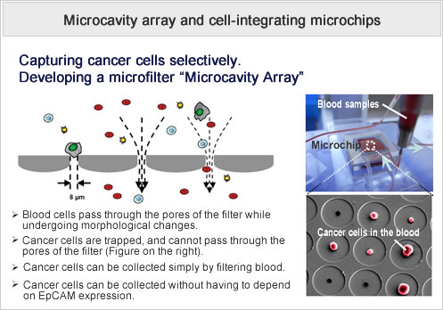 Microcavity array and cell-integrating microchips