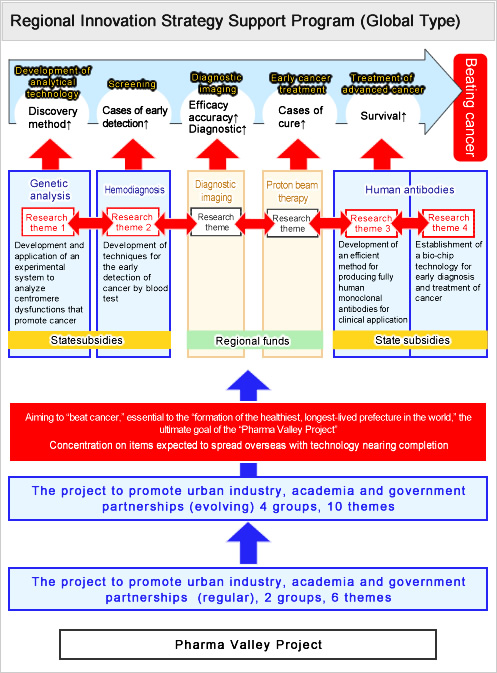 Regional Innovation Strategy Support Program