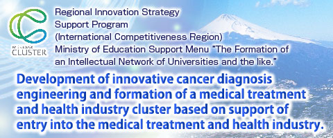 Regional Innovation Strategy Support Program