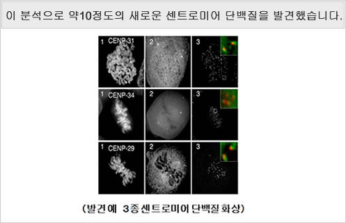 이 분석으로 약10정도의 새로운 센트로미어 단백질을 발견했습니다.