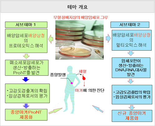 테마 개요