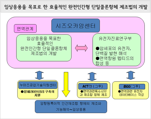 임상응용을 목표로 한 효율적인 완전인간형 단일클론항체 제조법의 개발