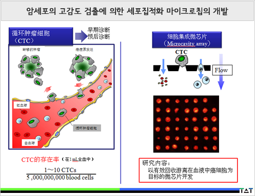 암세포의 고감도 검출에 의한 세포집적화 마이크로칩의 개발