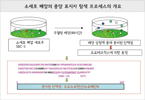 소세포 폐암의 종양 표지자 탐색 프로세스의 개요