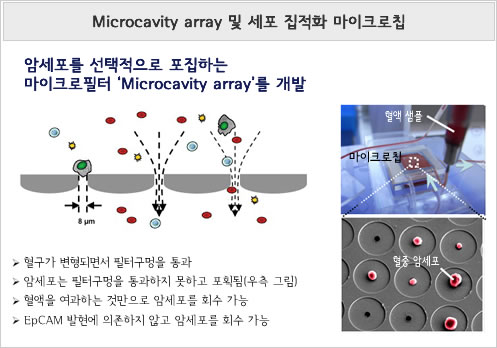 Microcavity array 및 세포 집적화 마이크로칩