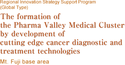 Regional Innovation Strategy Support Program (Global Type),The formation of the Pharma Valley Medical Cluster by development of cutting edge cancer diagnostic and treatment technologies,Mt. Fuji base area